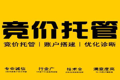 实战解析：SEM网络推广成功案例分享